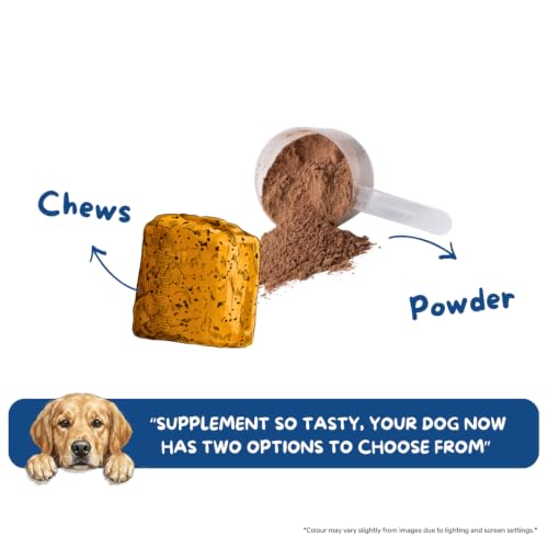 Image of Absolut Pet Skin & Coat Dog Powder, Omega Biotin |30 Servings
