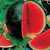 Dwqgroup Big Black Skin Red Seedless Watermelon Organic Seeds, Professional Pack, 20 Seeds / Pack, 13% Sugar Sweet Juicy Edible Melon