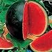 Dwqgroup Big Black Skin Red Seedless Watermelon Organic Seeds, Professional Pack, 20 Seeds / Pack, 13% Sugar Sweet Juicy Edible Melon