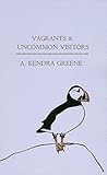 Vagrants & Uncommon Visitors (Iceland Museums Trilogy)