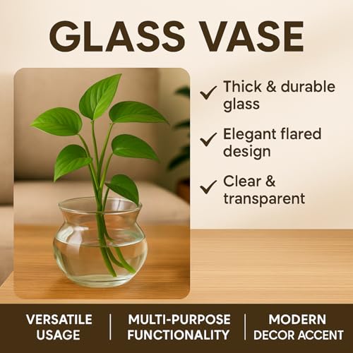 Image of ecofynd Glass Vase for Flowers Plants, Modern Decorative Vase for Home Decor Center Table, Bedroom, Living Room, Office Decoration, Wedding or Gifts (GVASE005)