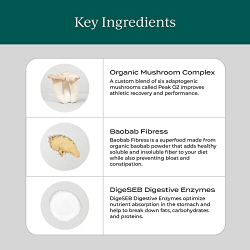 Cymbiotika Creatine+ & Plant-Based Protein Powder Bundle, Creatine And Glutamine Supplement + Plant Protein Drink & Smoothie Mix For Amino Energy, Recovery, Gut Health, And Muscle Mass #TOP4