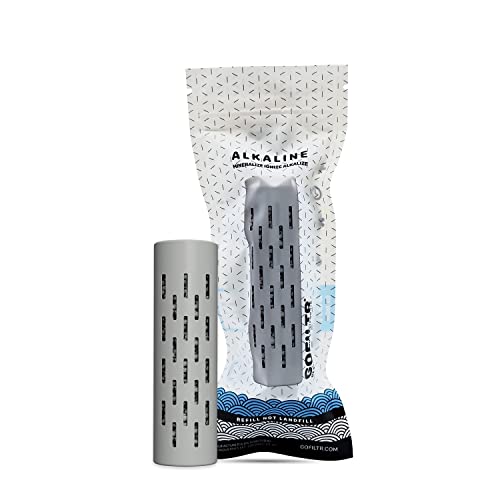 GOFILTR Alkaline Water Infuser - 9.5 pH + Electrolytes for Any Water Bottle/Small Pitcher, 750 Refills / 3 Months, Ionized Mineral Water Infuser (1 Pack)