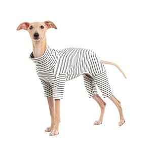 Dog Sweaters for Small Dogs Girls Boys, Striped Pet Sweaters for Fall Winter Dog Clothes, Turtleneck Pullover Knitwear for Small Medium Large Dogs