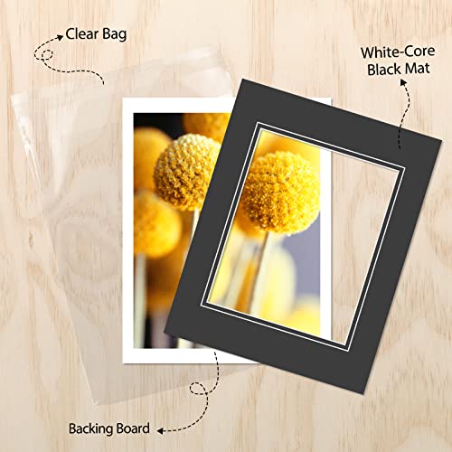 Golden State Art, Double Picture Mats With White Core Bevel Cut For 8X10 Photo Pictures (Mats, Backing, Clear Bags Included), Black Over Black, 11X14-10 Pack (Double Mat) #TOP5