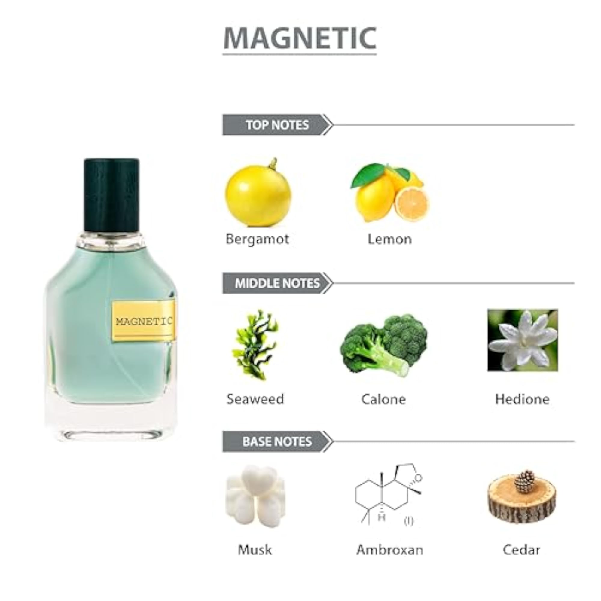 Magnetic Eau De Parfum, Long Lasting Fragrance for Women & Men