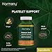 Harmony Nutraceuticals Papaya Leaf Supreme Extract Highest Potency Maximum Bioactivity Organic Dr. Gumman's Clinical Grade 120 Vegan Capsules Synergized with Triperine