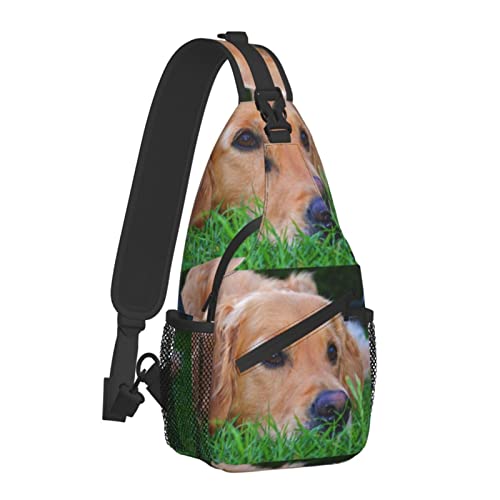 ANGYANG Borsa a tracolla con stampa Golden