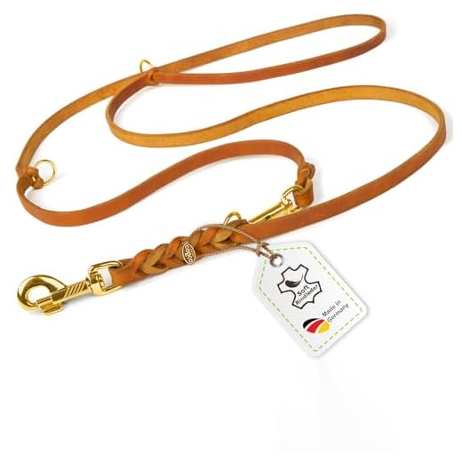 CopcoPet - Fettlederleine, Cognac 2 m x 8 mm, 3-Fach verstellbare Hunde-Leine aus Leder mit Messing Karabinern, geflochtene Hunde-Führleine für kleine Hunde.