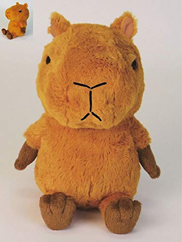 #みずべくらぶ ビーンドール ニョッキ