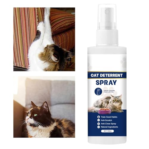 A`XNb`LbgXv[ALXNb`veN^[Xv[ - 100mlLp̃XNb`ƋXv[Ȃ,g[jO\[VxbhAJ[ybgA\t@̉Oybg̗