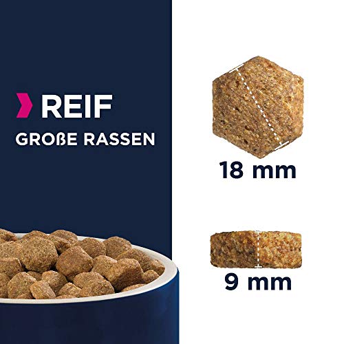 Eukanuba Hundefutter für reife große Hunde – Mature Trockenfutter