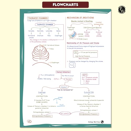 Image of PW Zoology Med Easy 2.0 For NEET and Board Exams 2025-26 | Flowcharts, Schematic Diagrams l Samapti Sinha Mahapatra Handwritten Notes [Paperback] Samapti Sinha Mahapatra