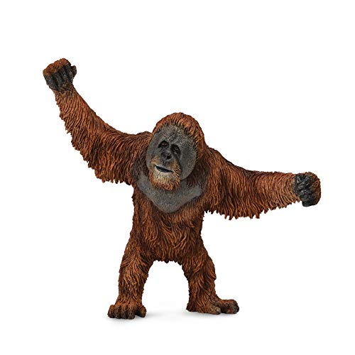 Collecta – col88730 – Wild – Orang Outan – L, Orange, S