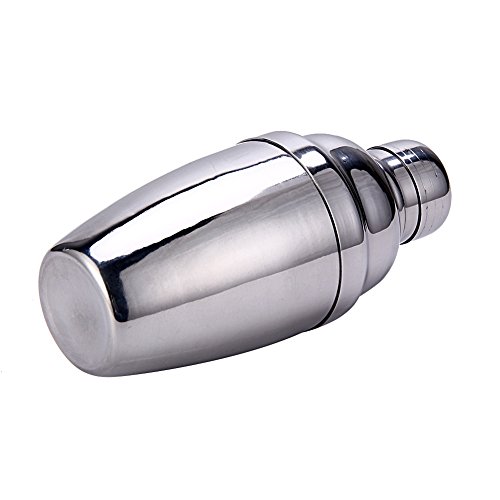 WinnerEco kit de coqueteleira e martini de aço inoxidável com jigger de medição e colher de mistura,