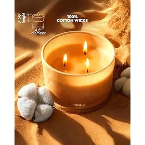 96NORTH Luxury Coconut Soy Candle | Large 3 Wick Jar Candle | Up to 50 Hours Burning Time | Tropical Beach Scented Candles for Home | 100% Natural Soy Wax | Housewarming Gift for Women and Men 96NORTH Luxury Coconut Soy Candle Large 3 Wick Jar Candle Up to 50 Hours Burning Time Tropical Beach Scented Candles for Home 100 Natural Soy Wax Housewarming Gift for Women and Men