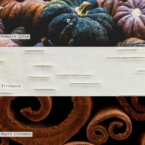 Image of Illume Noble Holiday Collection Midnight Pumpkin Vanity Tin Candle, 11.8 oz