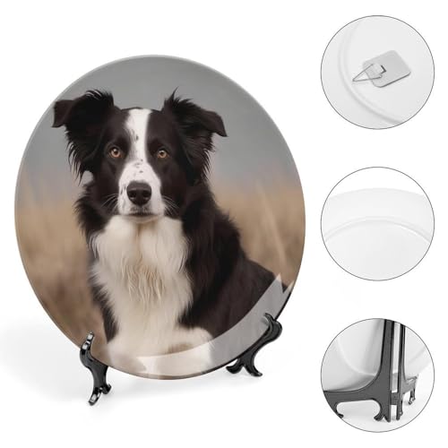 Plato decorativo Bone China Border Collie 7 pulgadas miniatura 4