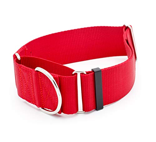2 Inch Martingale Dog Collars - Heavy Duty Nylon (2' Width Dog Collars (Red, Large)