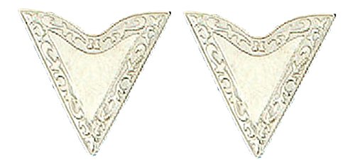 WESTERN EXPRESS Silver Economy Collar Tips, Screw-On, 1-1/4