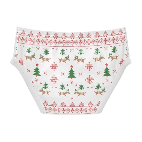 visesunny Boys Cotton Underwear Nordic Knitted Pattern Printed Toddler Soft Training Briefs Size 2T-8Y for Kids2