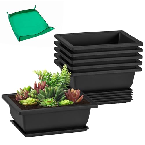 GROWNEER 6 Packs 6.5 Inch Bonsai Training Pots with Drainage Humidity Trays, Bonsai Tree Kits with...