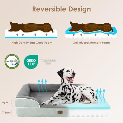 EHEYCIGA Orthopädisches Hundebett Kleine Hunde, 76x51cm, Memory Foam Hundekorb Mittelgroße Hunde, Waschbar Hundesofa Wasserdicht rutschfest, Hundecouch mit Hohem Rand, Gräuliches Grün