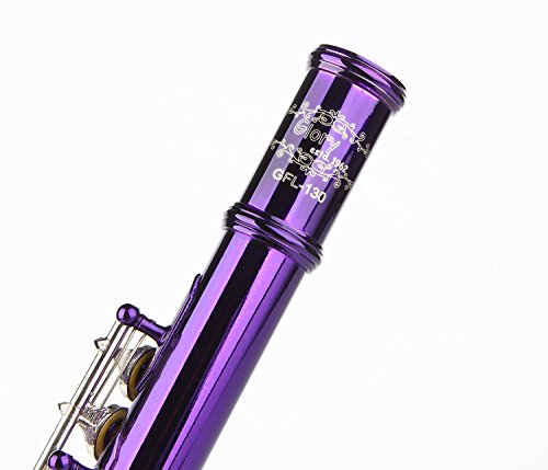 Amazon.com: Glory Closed Hole C Flute With Case, Tuning Rod and