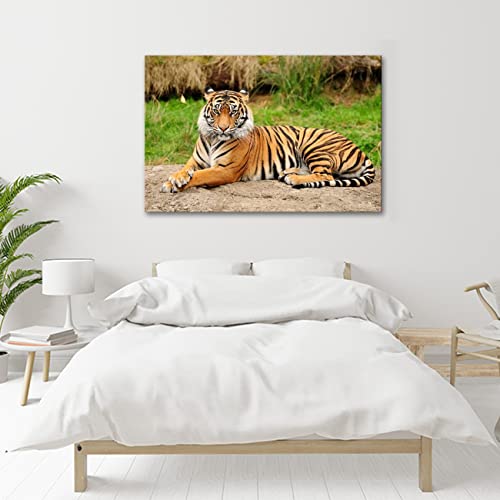 Lzimu Tiger Wall Art Ferocity Wild Animal Tiger Canvas Prints Painting Wildlife Animal Picture For Home Decor (12"X18" (30X45Cm)) #TOP3