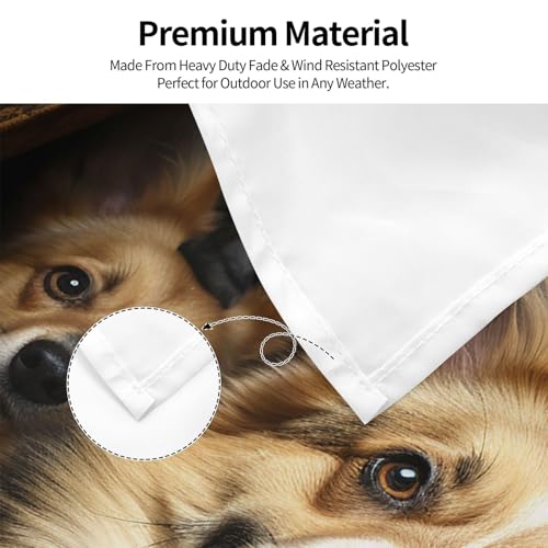 Drapeau extérieur Corgi anti-déchirure grand format double face toutes saisons - 5