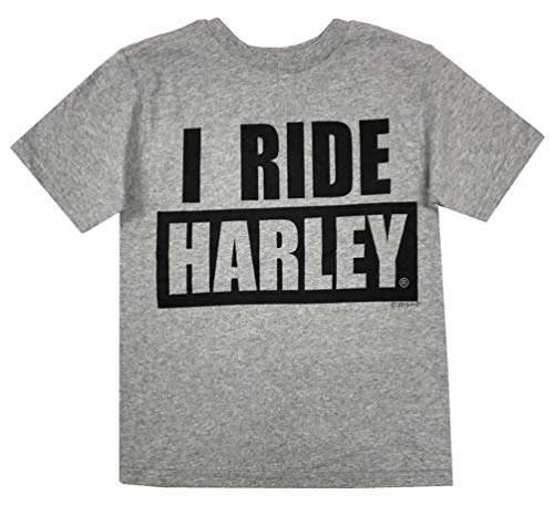 Harley-Davidson Little Boys' I Ride Harley Short Sleeve T-Shirt, Gray 1570055