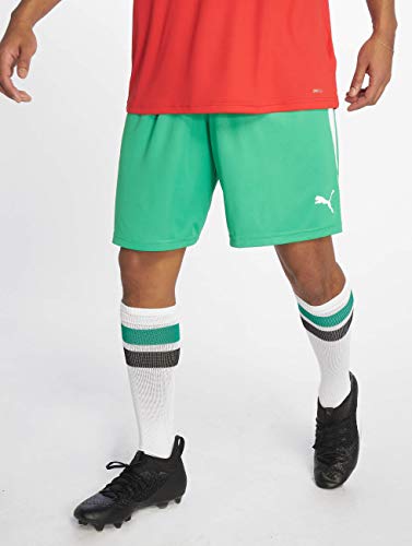 Image of PUMA - Mens Teamgoal 23 Knit Shorts