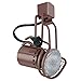 Elco Lighting ET656BZ Line Voltage PAR20 Wireform Fixture