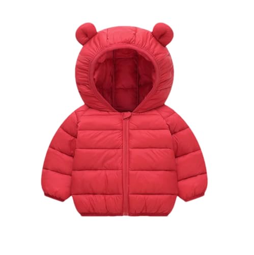 Boys and Girls Bear Ears Puffer Jacket Light Raglan Quilted Zip Up Hooded Coats Winter Warm Comfortable Outdoor Coat
