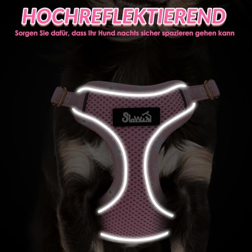 Eyein Hundegeschirr Kleine Hunde mit Leine, Atmungsaktiv Air Mesh Brustgeschirrmit reflektierenden Streifen, Verstellbarer Step-in Geschirr für extra kleine/kleine mittelgroße Hunde (Rosa, XXS)