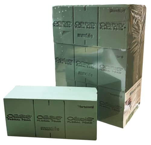 Oasis Standard Floral Foam Bricks, 6 Count (Pack Of 1) #TOP2