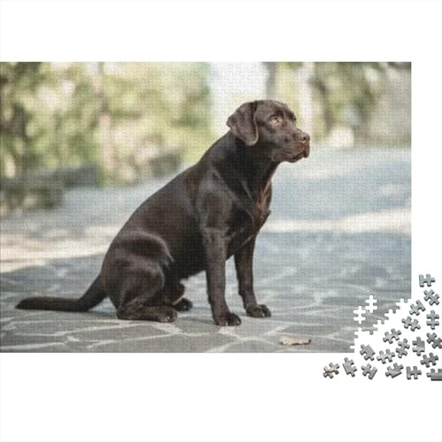Rompecabezas premium de Labrador negro, juego ecológico de 1000 piezas en formato 70x50cm
