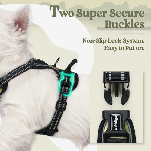 Image of rabbitgoo Dog Harness No Pull with 2 Leash Clips, Adjustable Soft Padded, Reflective Oxford No Choke Pet Vest with Easy Control Handle for Large Dogs, Green Mountain,XS