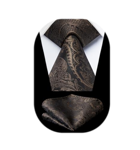 Image of HISDERN Ties for Men Paisley Floral Tie Handkerchief Classic Woven Business Formal Necktie and Pocket Square Set Wedding