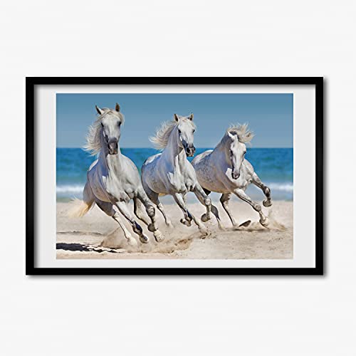 Cadre photo 60x40 cm avec affiche de plage et chevaux blancs Tulup