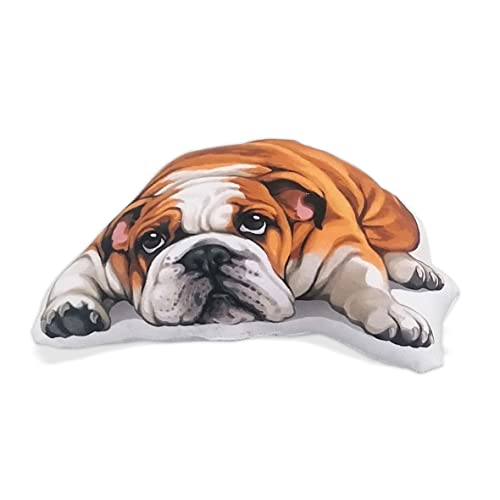 Wirester SHAPEDPILLOW98-SHVPLWA6742 Soft Shaped Velvet Pillow 9.84 Inch, Sofa Pillow, Decorative Throw Pillow Cushion For Home Office - English Bulldog Dog Lying Down Looking Up cover