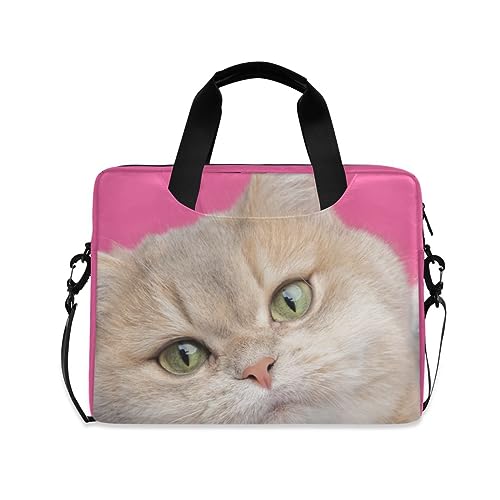 MiaoLD p\RP[X PCP[X lR L 킢 sN m[gPCCi[P[X 15.6C` A4Ή ϏՌ ی m[gp\RobO rWlXobO fB[X Y ʋ ʊw o g V_[t jp