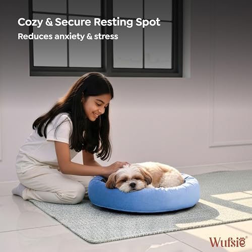 Image of Velvet Dog Bed in Round Shape | Small 60 Cm | Premium Velvet Pet Bed for Cats and Puppies | Soft & Cozy Sleeping Bed for Dog with Removable Insert | Black & Sky Blue