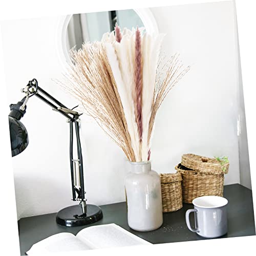 Holibanna Decoração Nórdica 60 Unidades Flores Junco Secas Decoração Junco Seco Cana Seca Adorna Ade