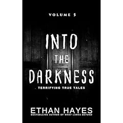 Into the Darkness Audiolibro Por Ethan Hayes arte de portada