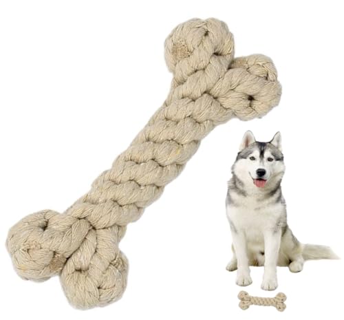 CHIPP'S ̊ނ RbgKu{[, p, [v, , XgX, C^Yh~,^ (~NeB)