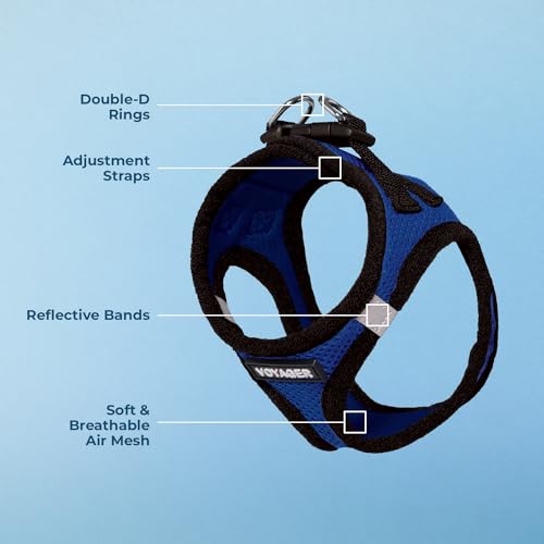 Image of Best Pet Supplies Voyager Step-in Air Dog Harness - All Weather Mesh Step in Vest Harness for Small and Medium Dogs Royal Blue Base, XXXS (Chest: 10-11.5 inch)