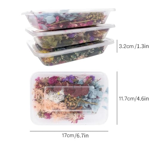 Flores Secas Prensadas en Caja para Manualidades miniatura 2