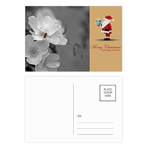 Cartes postales de Père Noël noir et blanc pour vœux et correspondances de fête - Lot de 20