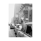 Fabulous Torchon de Cuisine et Essuie-Mains - Lama a Time Square Swag New York Annees 30 Photo Vintage - Linge Décoratif Absorbant Tissage Panama Format 36x50 cm Imprimé en France